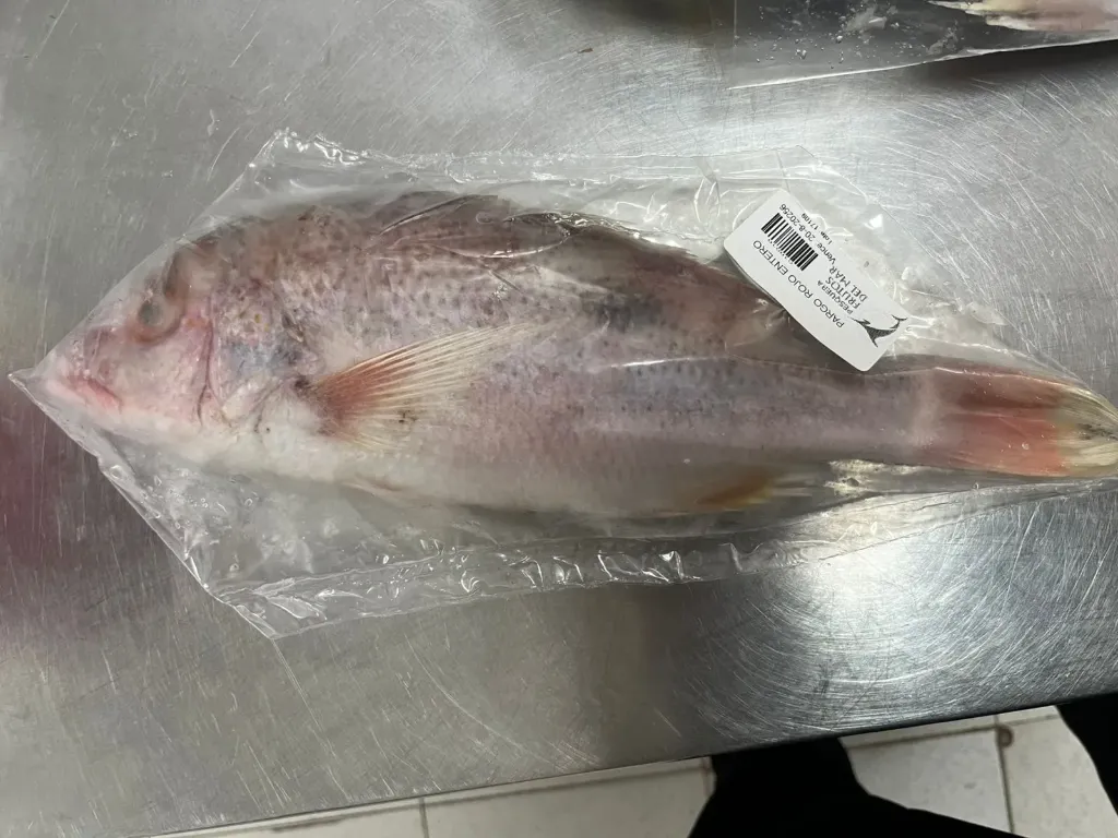 Pargo rojo entero