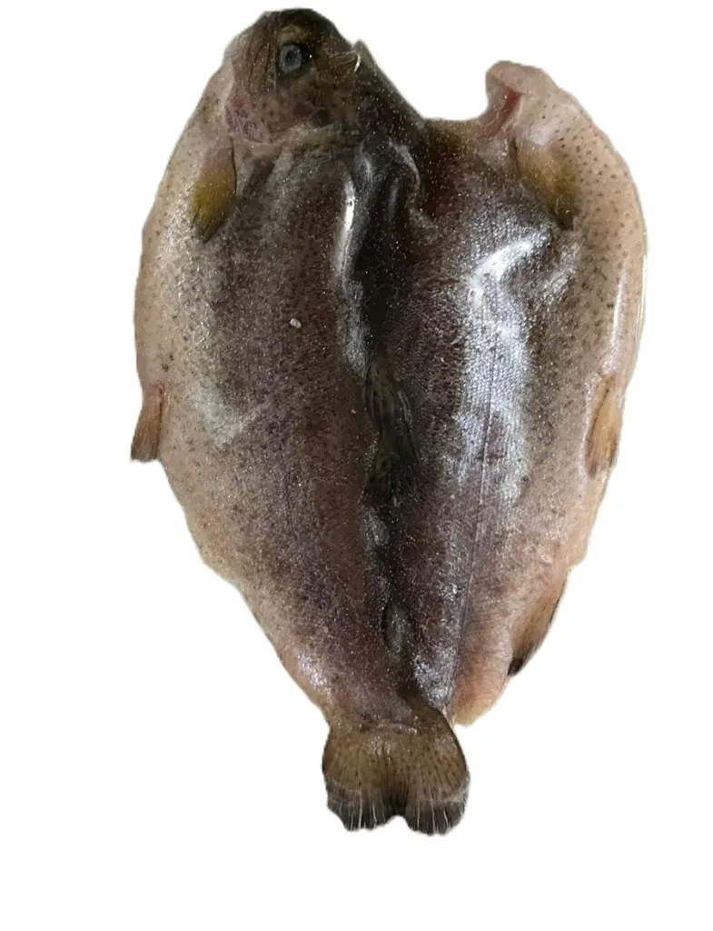 Trucha Mariposa